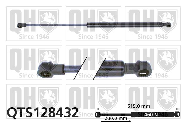 QUINTON HAZELL Gaasivedru, pagasi-/veoruum QTS128432